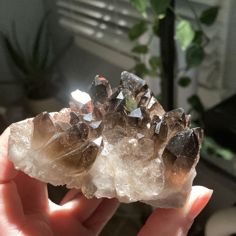 🖤 Smoky Quartz Cluster 🖤